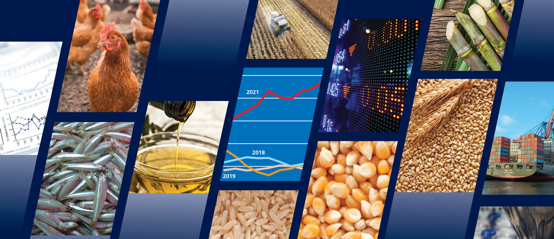 Gıda İhracatında Güvenilir Çözüm Ortağınız